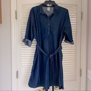 Chambray Dress XL